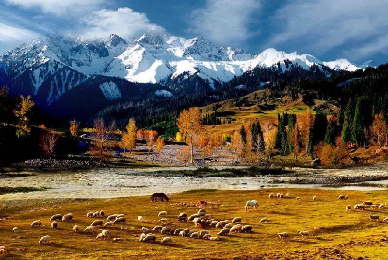 新疆巷弄中的隐秘美食之旅