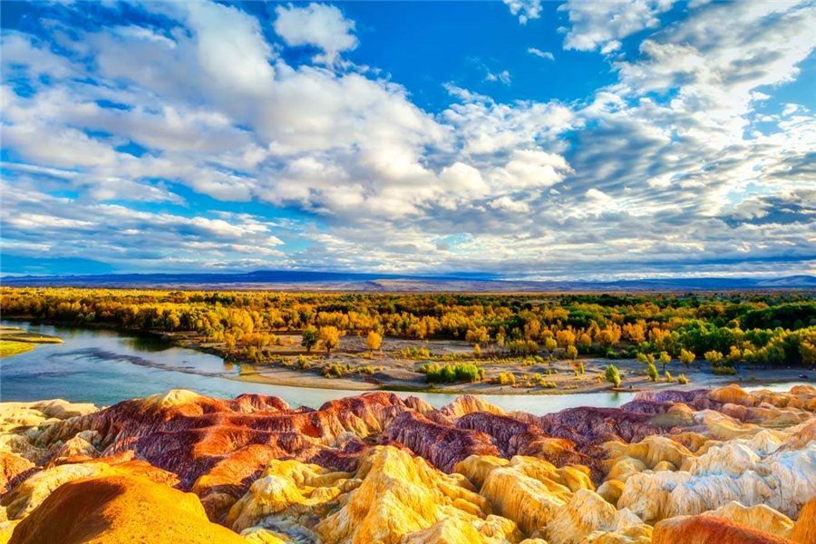 新疆巷弄中的隐秘美食之旅