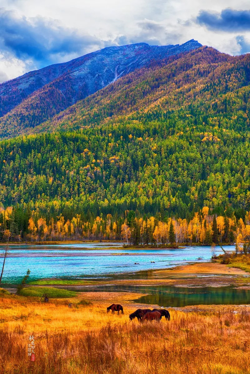 新疆，骄傲的家乡情怀